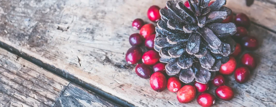 December at Mount Olympus: A Winter Wonderland Beckons