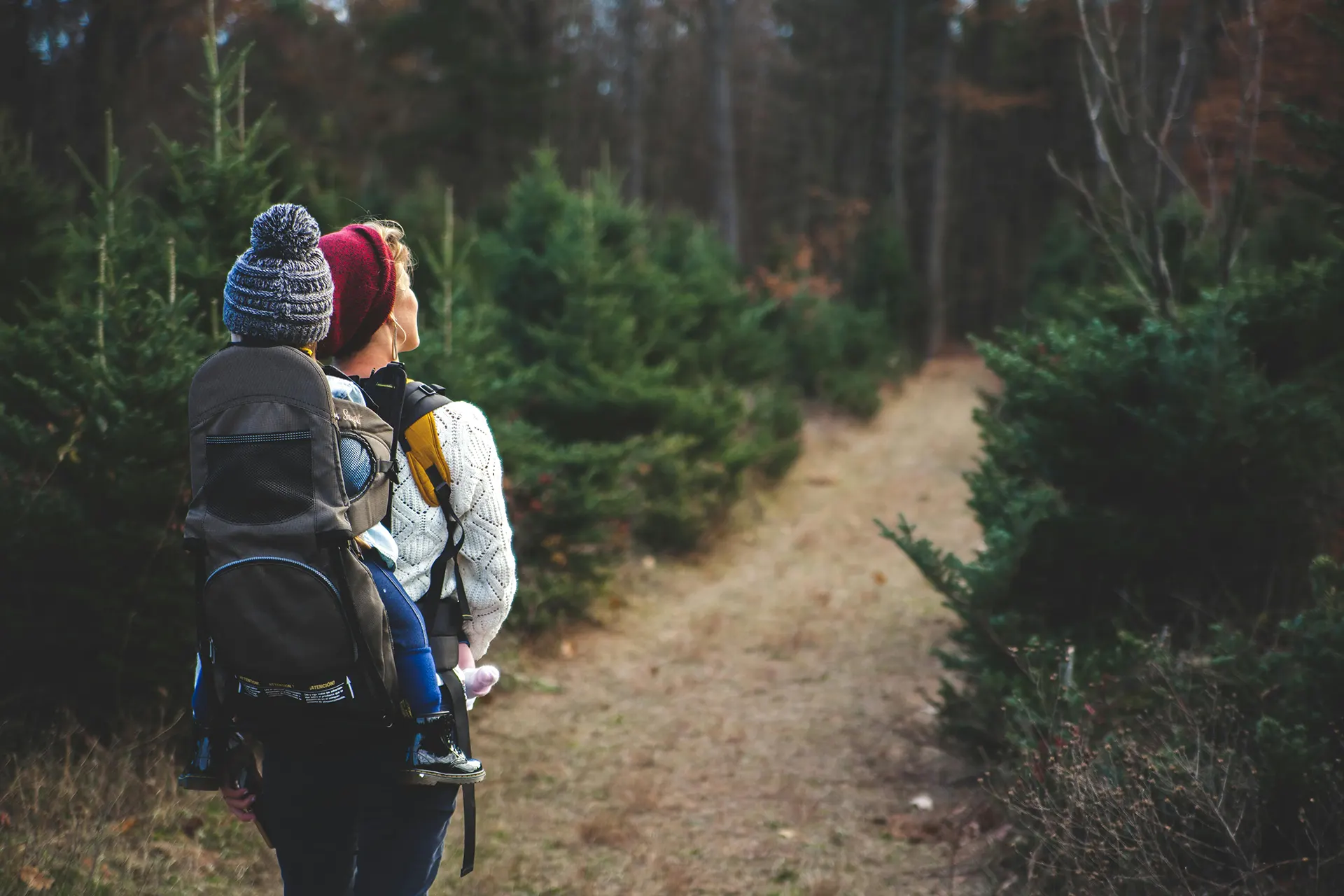 Spring Adventures for Families at Mount Olympus