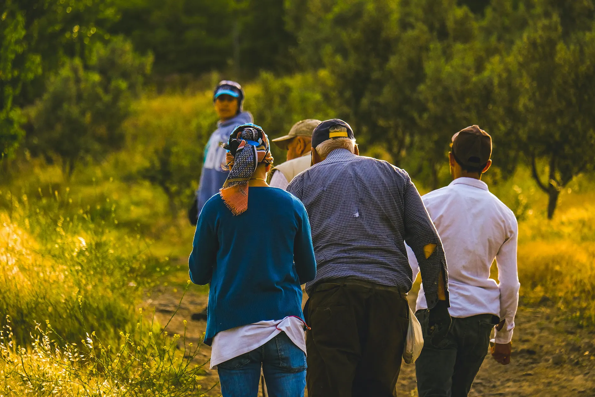 Hiking Mount Olympus