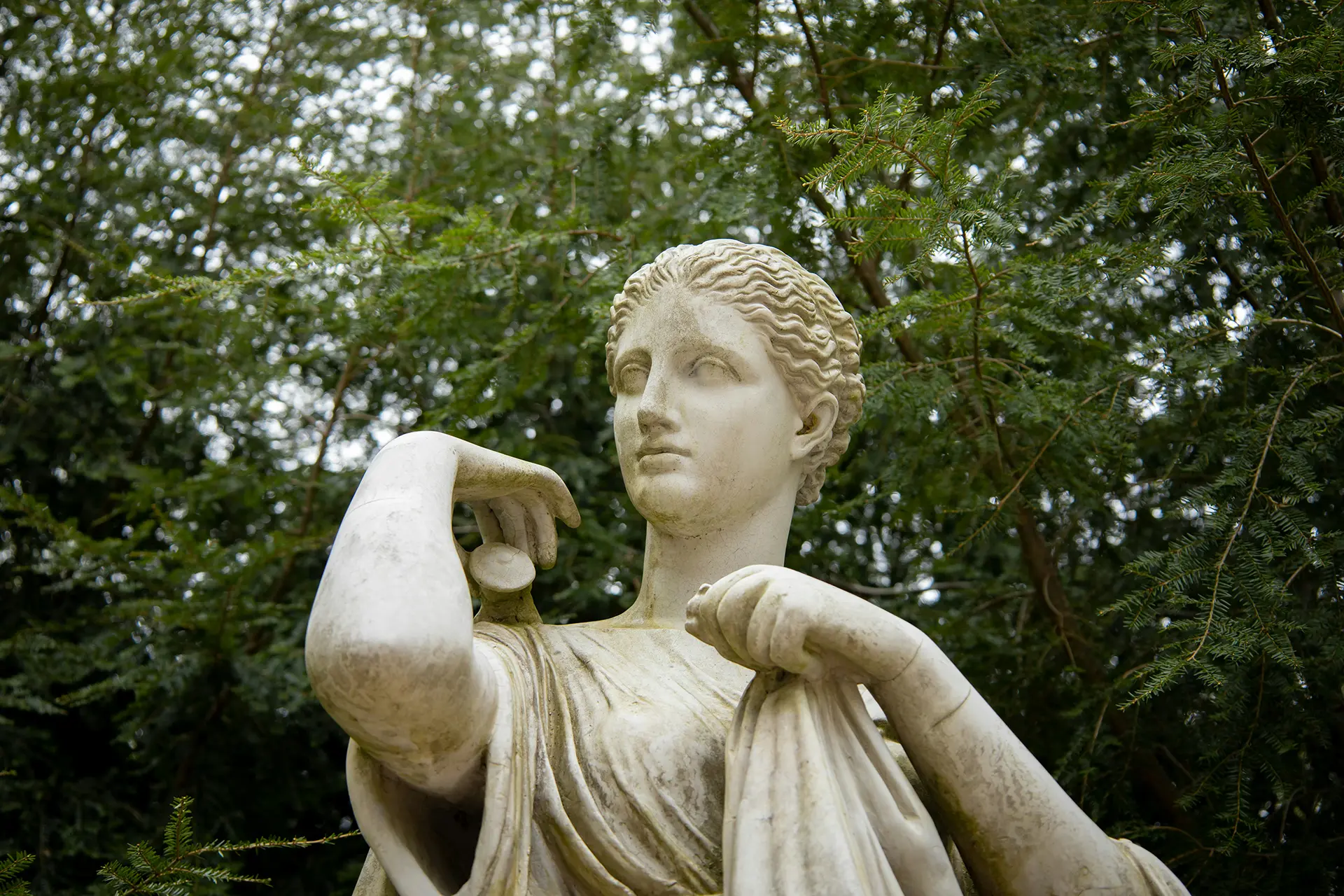 Artemis