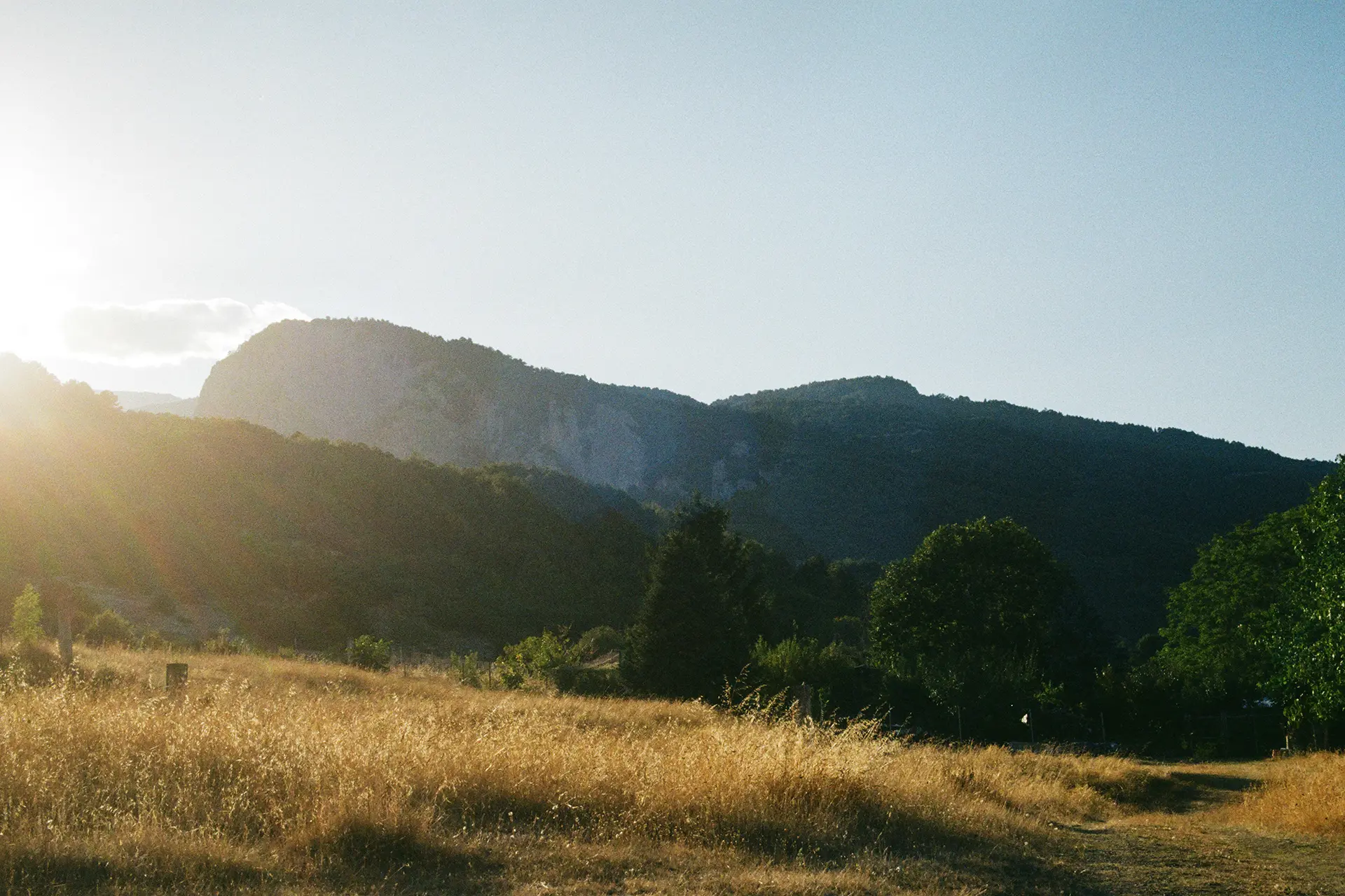 Mythology Walks: Exploring Olympus Through the Eyes of the Ancients