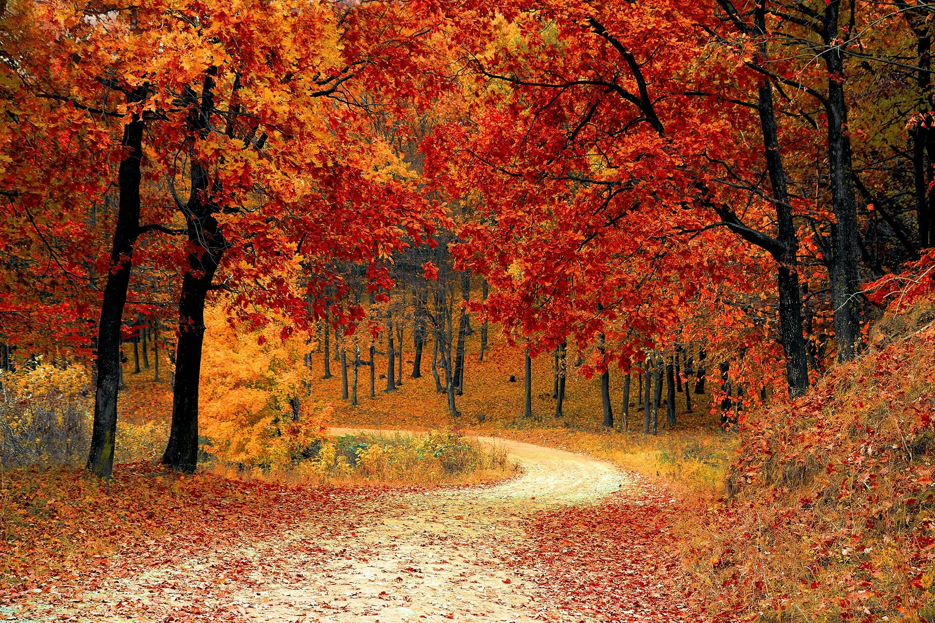 Autumn in Mount Olympus